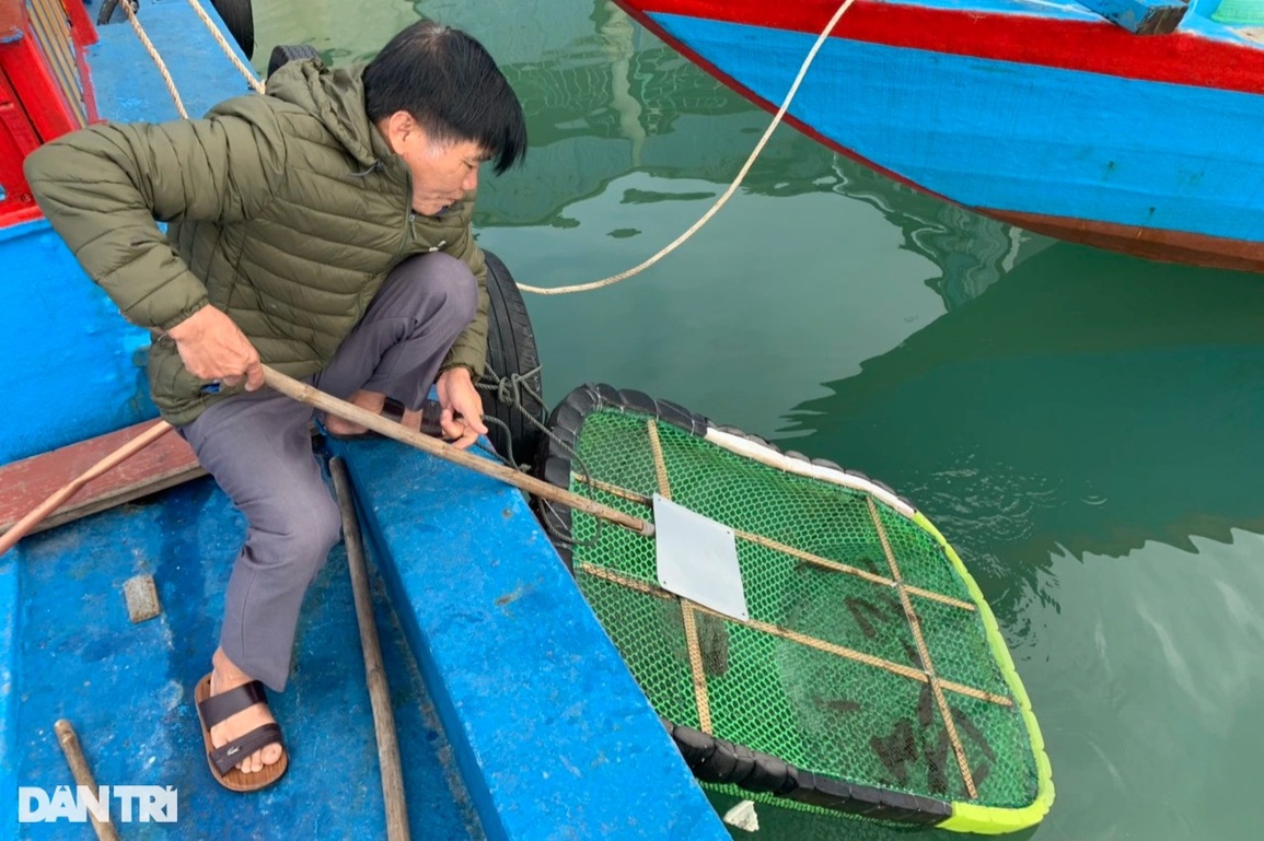 Đặc sản bật nhảy tanh tách, ăn một lần nhớ mãi nổi tiếng ở Hà Tĩnh - 2 Đặc sản bật nhảy tanh tách, ăn một lần nhớ mãi nổi tiếng ở Hà Tĩnh - 2
