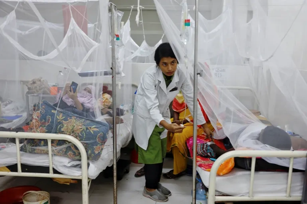 Hơn 1.000 ca tử vong do sốt xuất huyết tại Bangladesh - 1 Hơn 1.000 ca tử vong do sốt xuất huyết tại Bangladesh - 1