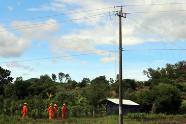 2 công nhân thương vong khi sửa chữa đường dây điện ở Phú Yên