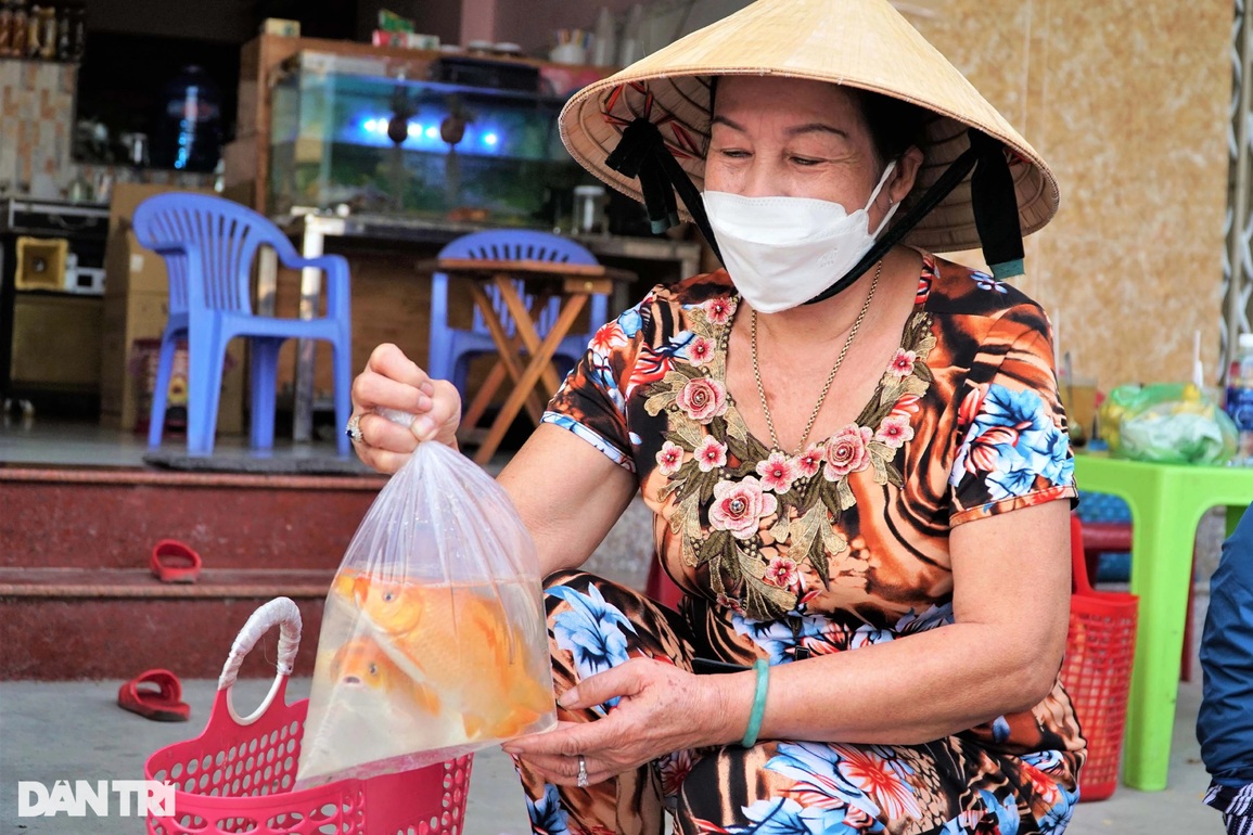 Cần Thơ: Người mua cá chép đưa ông Táo giảm một nửa so với năm trước - 3 Cần Thơ: Người mua cá chép đưa ông Táo giảm một nửa so với năm trước - 3