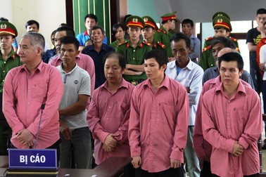 Giám đốc doanh nghiệp phá rừng lĩnh án cao nhất 12 năm tù