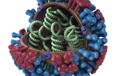 Cảnh giác với những vi rút mới nguy hiểm!