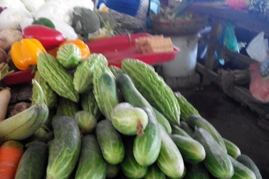 Sau tết, giá mỗi kg dưa leo bằng 4-5 kg lúa