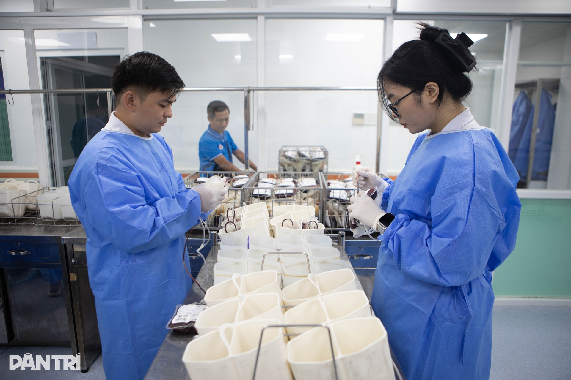 Hành trình thầm lặng của những người giữ nhịp sống từ giọt máu nghĩa tình - 12