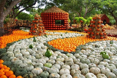 Lễ hội ma quỷ, đến thăm ngôi làng làm từ gần 100.000 quả bí ngô ở Mỹ