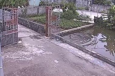 Clip bé trai ngã xuống ao nước khi chơi một mình khiến dân mạng thót tim