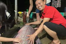 Ngư dân bắt được cá trắm đen nặng 52kg