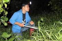 "Giun tặc" lộng hành, huyện huy động cả hệ thống chính trị vào cuộc