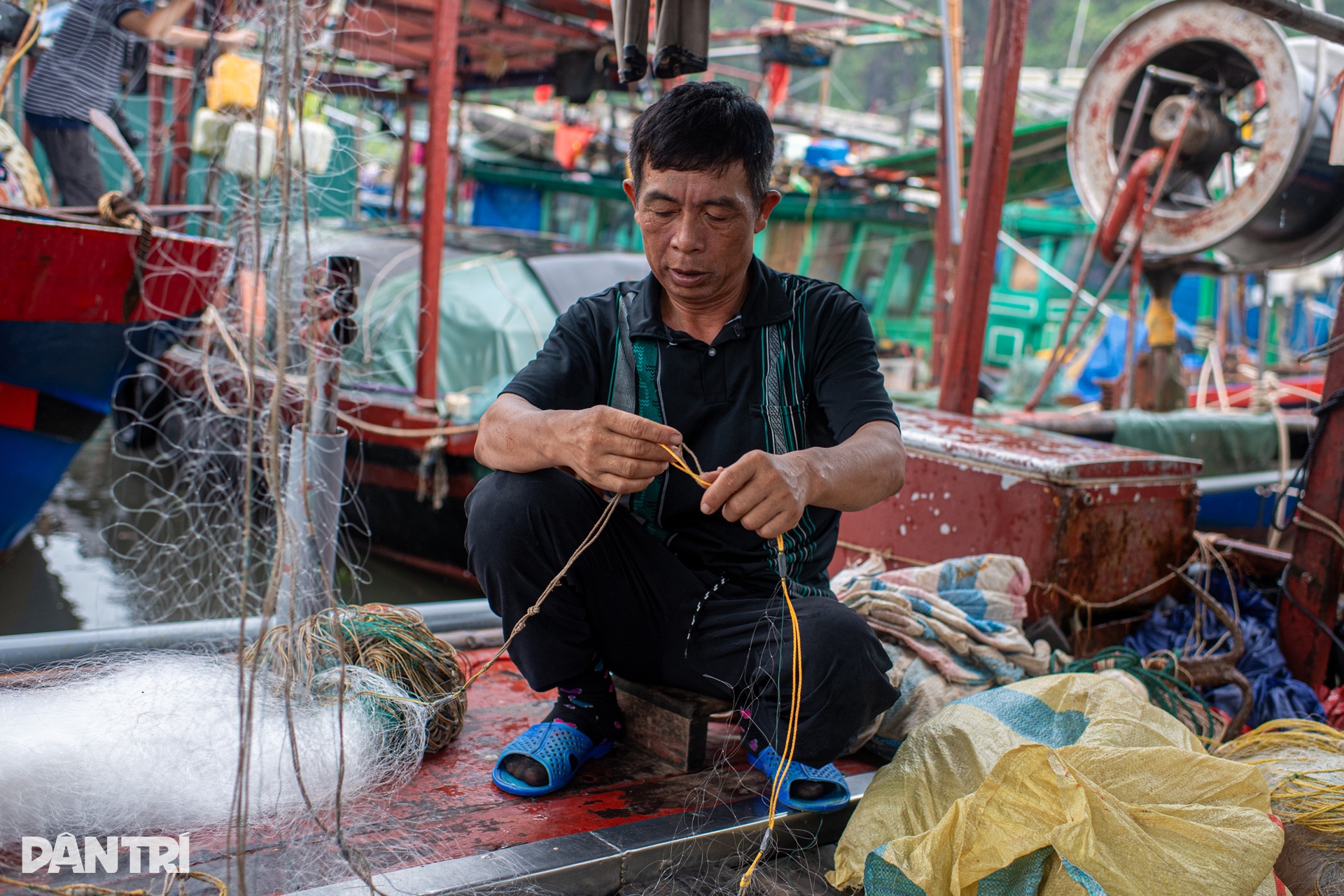 Sau ký ức Yagi, ngư dân Hạ Long nín thở chờ bão Wipha - 6 Sau ký ức Yagi, ngư dân Hạ Long nín thở chờ bão Wipha - 6