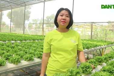 Cô gái 9X "gác bằng" đại học làm nông nghiệp