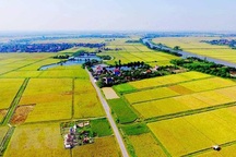 5 kinh nghiệm đầu tư đất nông nghiệp an toàn, sinh lời