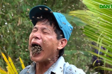 Mục sở thị "dị nhân" bỏ ong vô miệng không sợ bị đốt