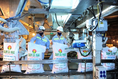 Đạm Cà Mau hoàn thành sớm chỉ tiêu sản xuất 2017