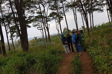 Nam thanh niên tử vong cạnh chiếc xe máy trong rừng thông