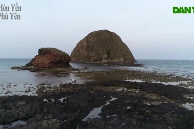 Phú Yên: Thành lập tổ bảo vệ để bảo tồn rạn san hô Hòn Yến