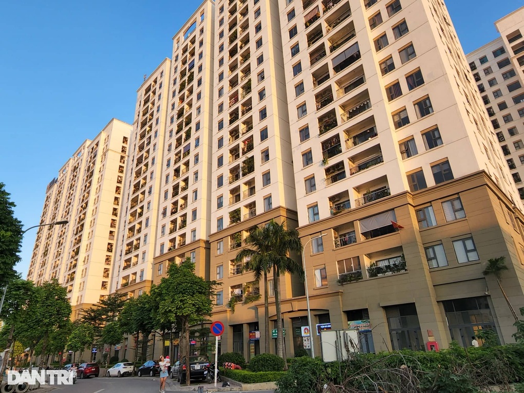 Sốt đất đẩy giá, người Việt phải lao động mất 120 năm mới mua được nhà? - 1 Sốt đất đẩy giá, người Việt phải lao động mất 120 năm mới mua được nhà? - 1