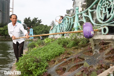 Ám ảnh rau bẩn, người Hà Nội rủ nhau trồng rau "hốc đá" quanh hồ Tây