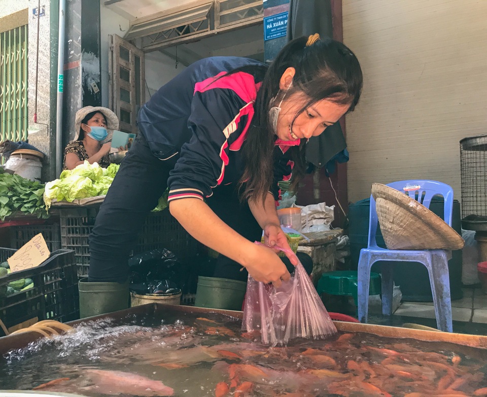 Tiểu thương bán cá chép ở TPHCM than trời vì dịch Covid-19 - 1 Tiểu thương bán cá chép ở TPHCM than trời vì dịch Covid-19 - 1
