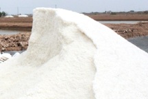 Muối Bạc Liêu lần đầu tiên đề nghị lên sản phẩm OCOP 5 sao cấp quốc gia