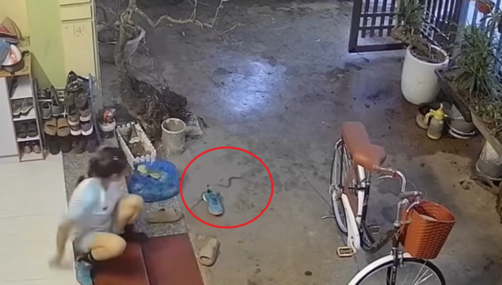 Clip “cô gái xỏ giày có rắn nấp bên trong” nổi bật tuần qua