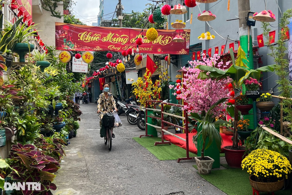 Bà con trong hẻm nhỏ góp tiền làm đường hoa đón xuân mới - 7 Bà con trong hẻm nhỏ góp tiền làm đường hoa đón xuân mới - 7