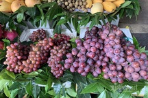 Thái Lan cảnh báo trái cây Trung Quốc rủi ro tồn dư "thuốc sâu"