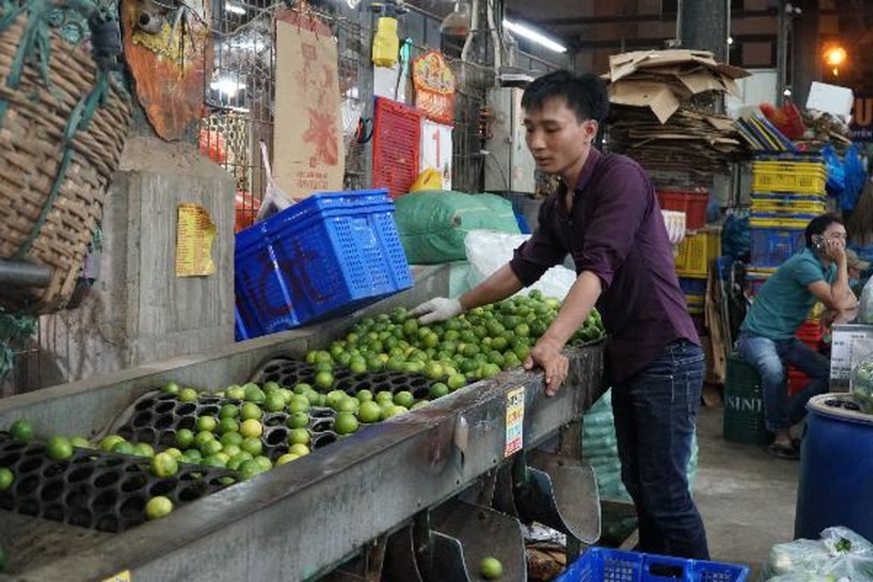 Giàu lên nhờ nghề ngủ ngày cày đêm - 6 Giàu lên nhờ nghề ngủ ngày cày đêm - 6
