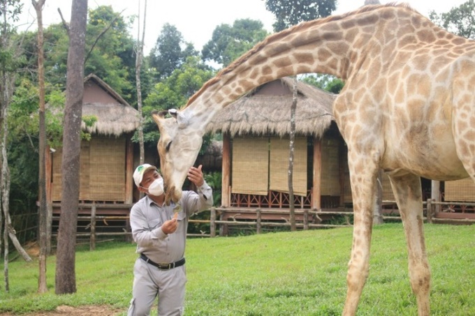 Khám phá cuộc sống hoang dã “thời giãn cách” bên trong công viên bảo tồn lớn bậc nhất châu Á - Ảnh 9.