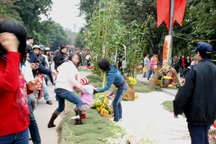 Từ lễ hội hoa Hà Nội: Đâu chỉ là ý thức người dân