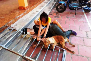 Bắt giữ hơn 10 đối tượng bắt trộm hơn 40 con chó trong đêm