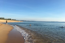 Phượt Phú Yên - đâu thấy hoa vàng trên cỏ xanh