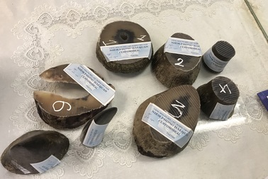 Giấu lô sừng tê giác trắng châu Phi trị giá 8 tỷ đồng trong hộp bánh quy