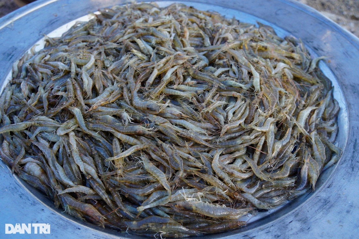 Độc đáo xứ Cồn Chim ở Bình Định - 4 Độc đáo xứ Cồn Chim ở Bình Định - 4
