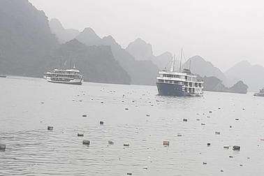 Khách nước ngoài đến Việt Nam không dám bơi vì thấy rác... ngập trên biển