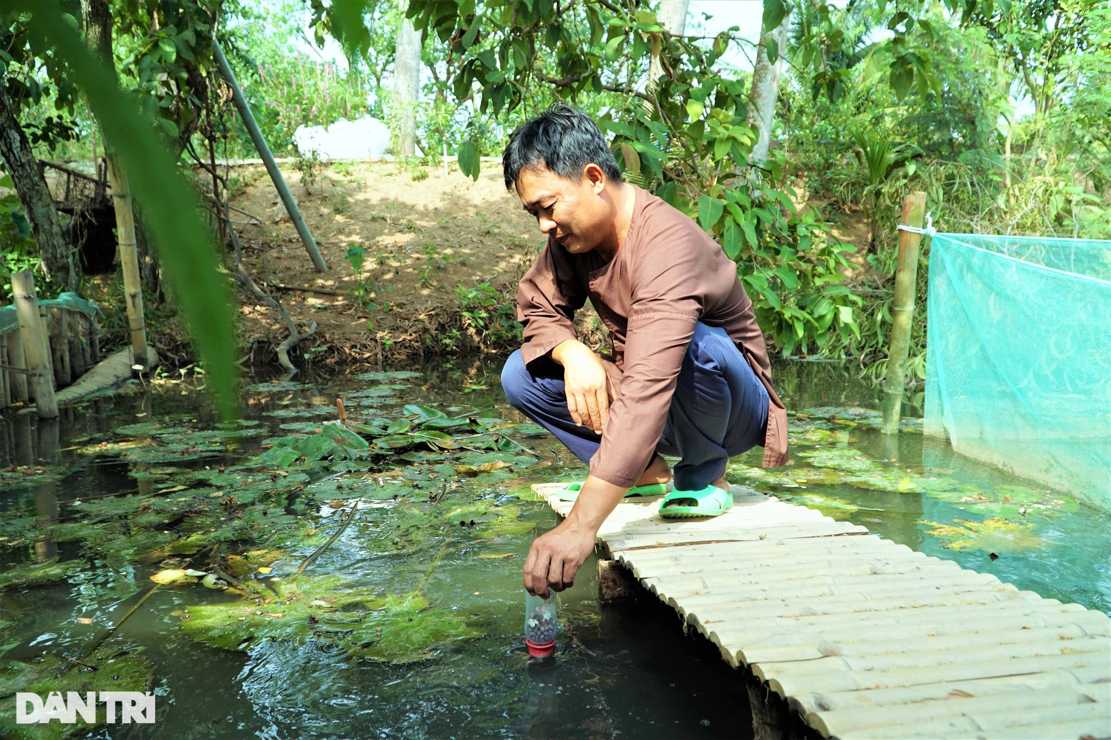 Xem vua xiếc cá cho hàng nghìn con cá trê vượt cạn giành thức ăn - 5 Xem vua xiếc cá cho hàng nghìn con cá trê vượt cạn giành thức ăn - 5