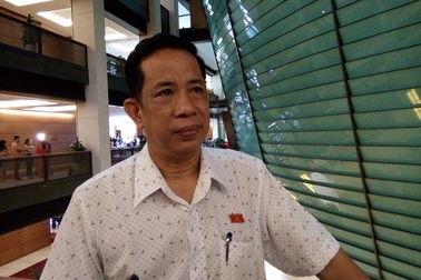 Đại biểu Quốc hội: Nên đình chỉ chức vụ đối với con trai ông Vũ Huy Hoàng