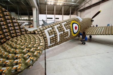 Máy bay làm từ 6.500 chiếc hộp đựng trứng