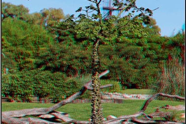 Tuyệt chiêu tạo ảnh 3D từ máy ảnh thông thường