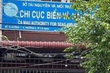 Phó phòng đi bồi dưỡng ở nước ngoài rồi gửi đơn về nước xin... nghỉ việc
