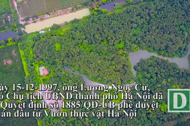 Vườn thực vật Hà Nội – nơi hội tụ nhiều loài cây quý đang bị “bỏ rơi”