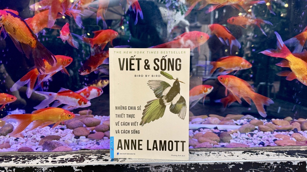 Viết và sống - Con người có cần phải viết trong thời đại AI? - 3