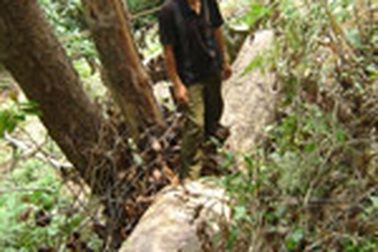 Cơ chế nào để bảo vệ “rừng Đại tướng”?