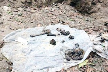 Phát hiện hố chôn hàng trăm bộ hài cốt liệt sĩ tại sân bay Biên Hòa