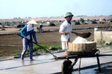 Nhọc nhằn hạt muối xứ Thanh