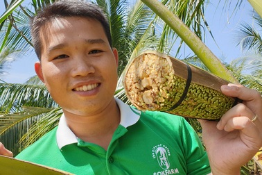 Massage hoa dừa để... lấy mật, 1 hoa chảy ra 25 lít, kiếm 250.000 đồng