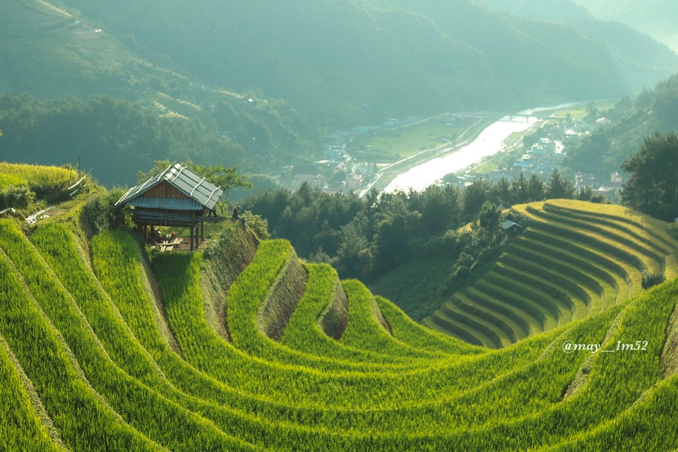 Mù Cang Chải đẹp mê đắm mùa lúa mới! - 1 Mù Cang Chải đẹp mê đắm mùa lúa mới! - 1