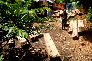 Bắt nguyên Giám đốc BQL rừng phòng hộ Sông Tranh