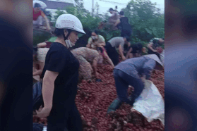 Đám đông "hôi" 4 tấn vải của xe gặp nạn: Đừng tham của rơi mà mất nhân tính