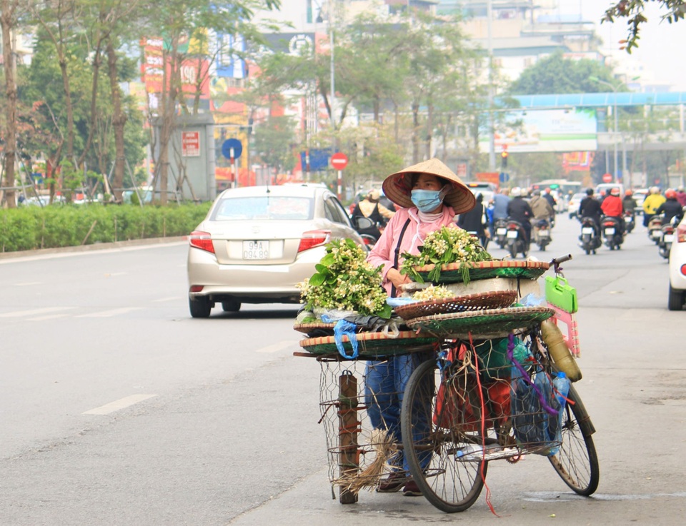 Dân Hà Nội rộ mốt mua hoa bưởi cúng rằm tháng Giêng - 2 Dân Hà Nội rộ mốt mua hoa bưởi cúng rằm tháng Giêng - 2