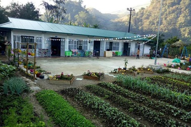 Hình ảnh phòng học Dân trí đẹp lung linh ngày cận Tết